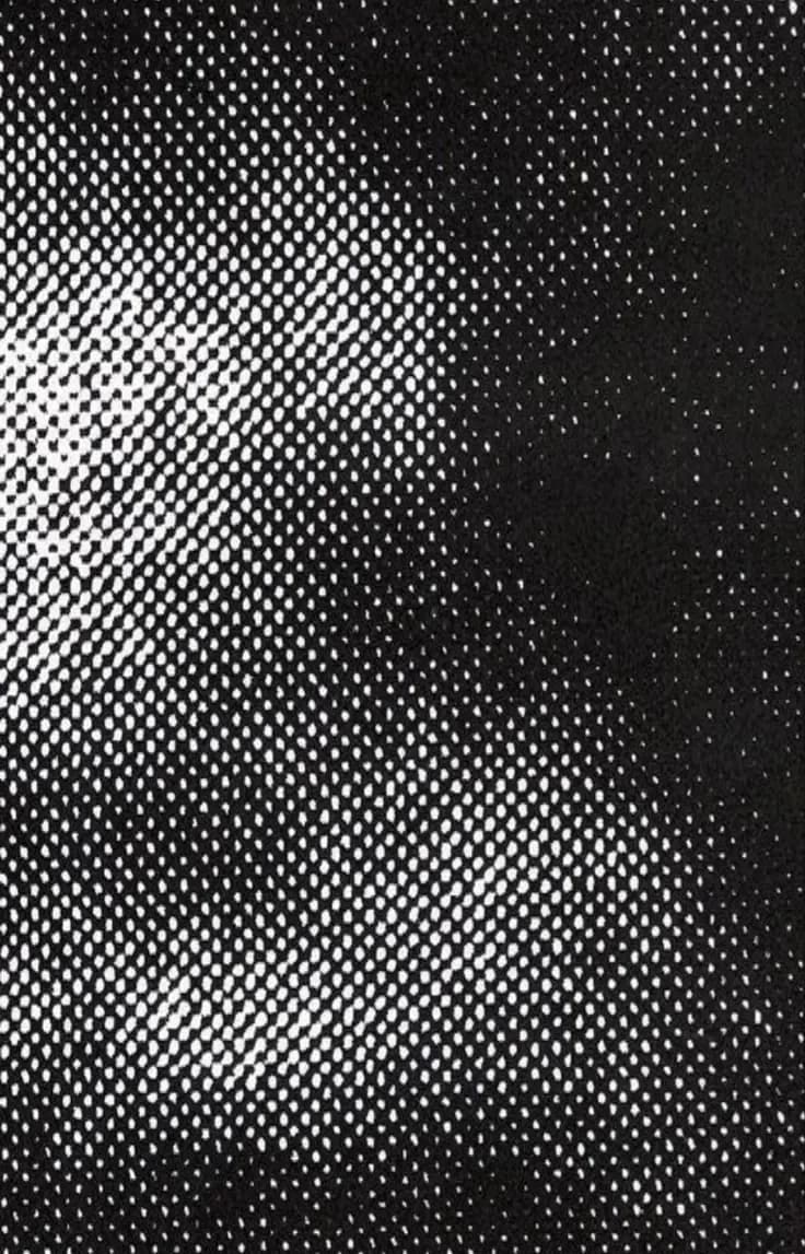 stray dog thumbnail