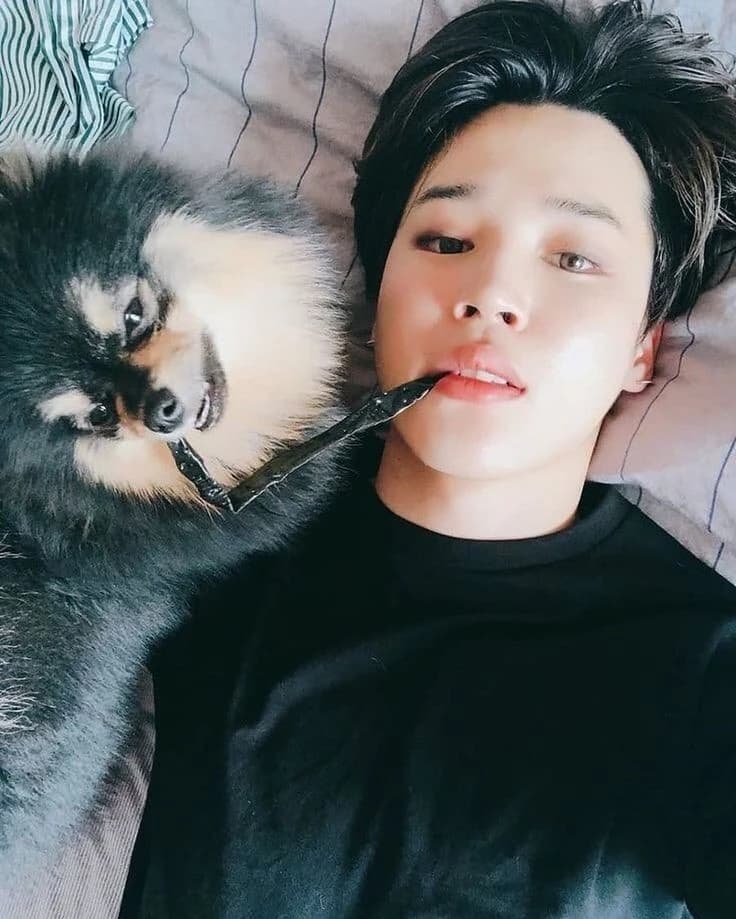 ▪︎~ Jimin ~▪︎ thumbnail