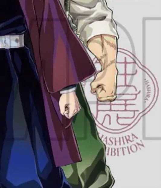 Sanemi and Giyu. thumbnail