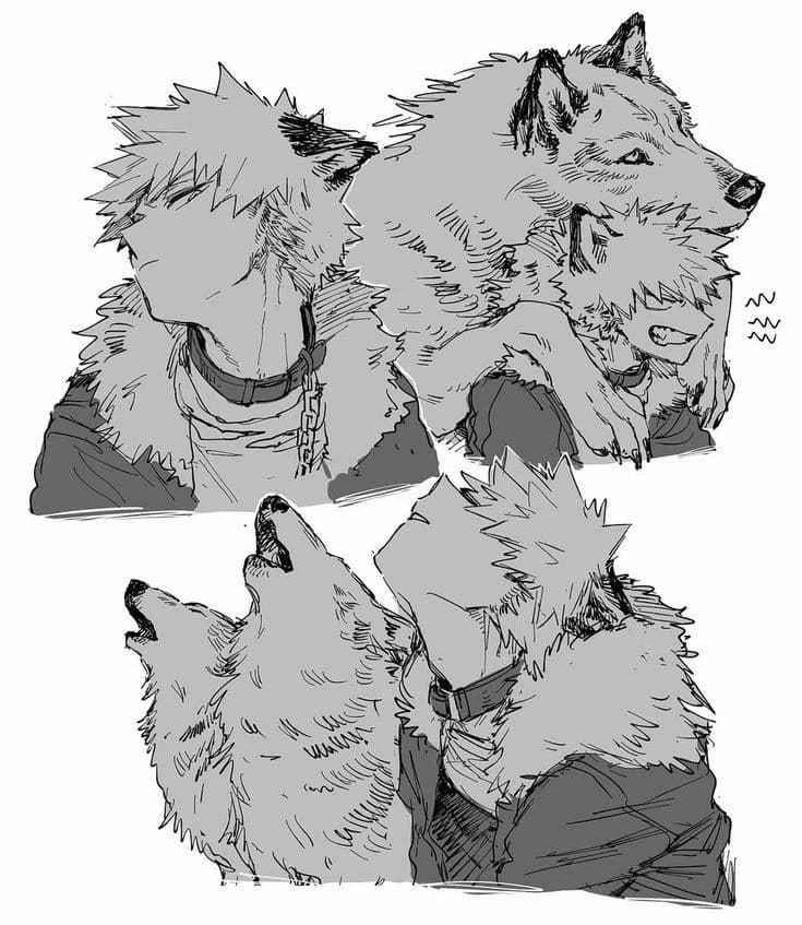Katsuki Bakugo (Alpha Wolf Shifter) thumbnail