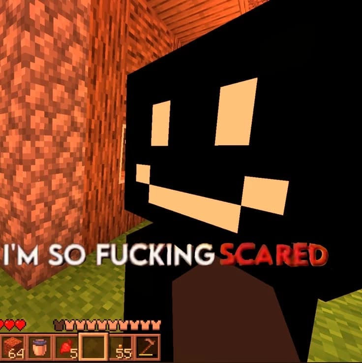 Twixel thumbnail