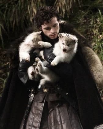 Princes of the Den thumbnail