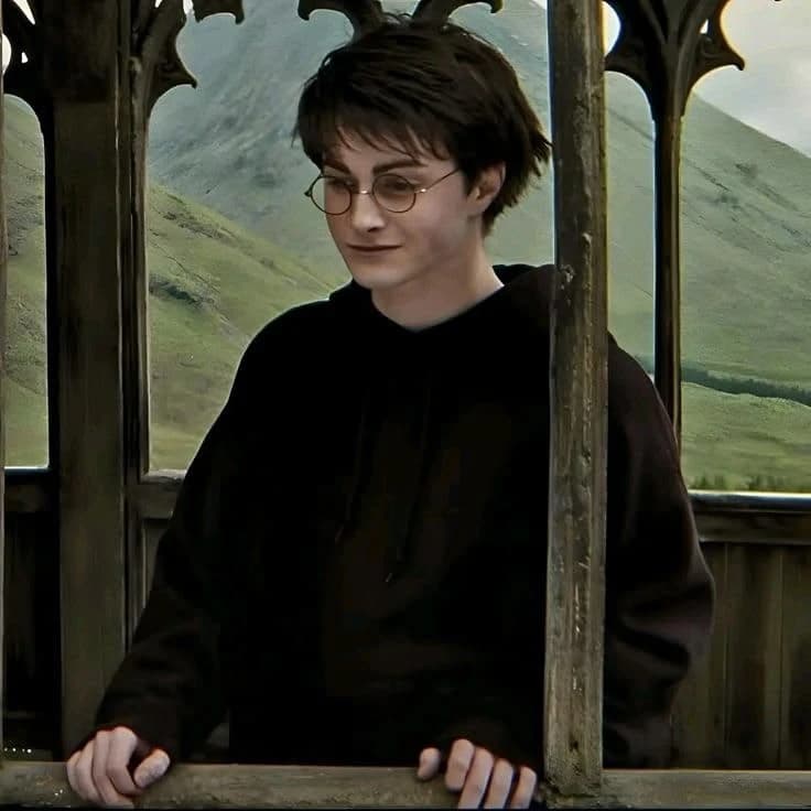 Harry thumbnail