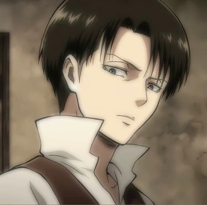 🦥LEVI_Ackerman💗 thumbnail