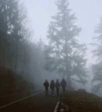 Zombie apocalypse - 1 thumbnail
