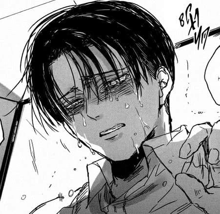 Levi thumbnail