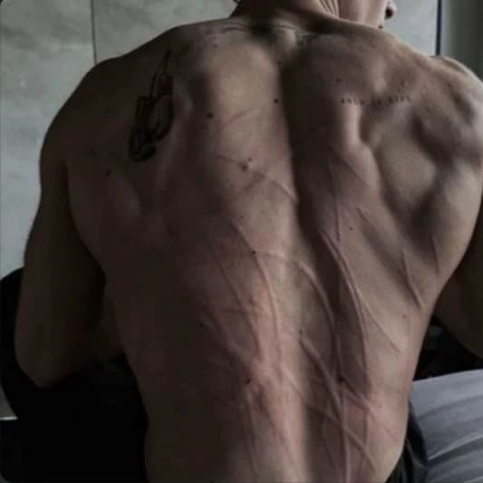 Dante motteti  thumbnail