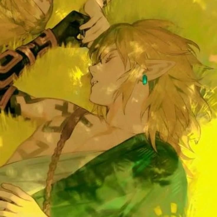 Link [TOTK]‧₊˚ ⋅ YAOI thumbnail
