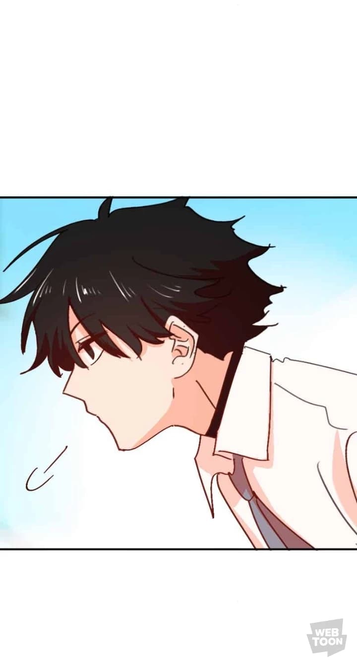 Shoto thumbnail