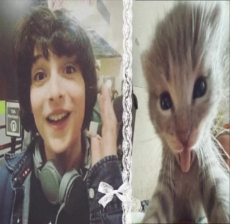 Richie Toizer thumbnail