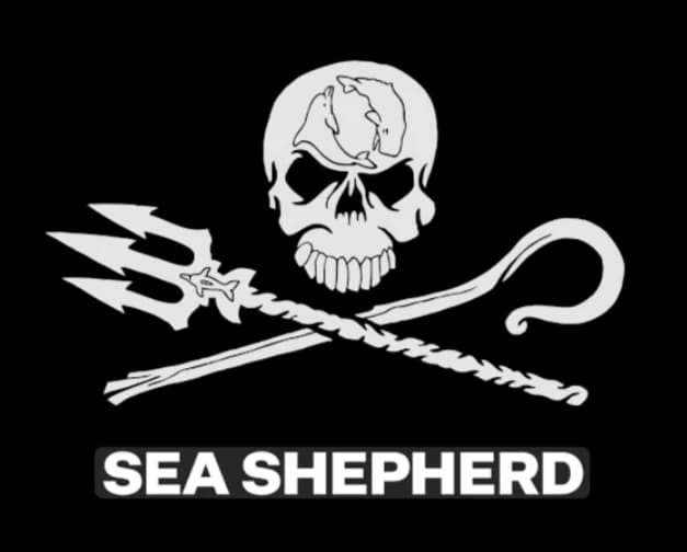 Sea Shepherd thumbnail
