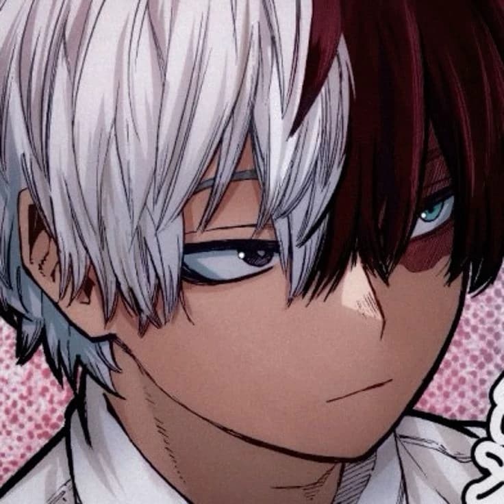 Shoto Todoroki  thumbnail
