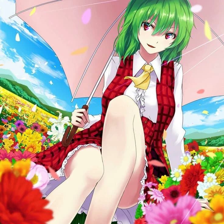 Yuuka Kazami thumbnail
