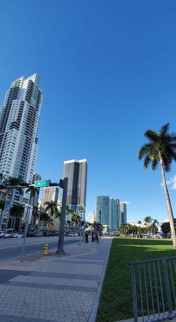 La ciudad del sexo thumbnail