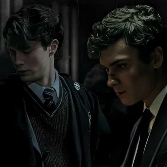 Tom Marvolo Riddle and Matthew Sorvolo Riddle thumbnail