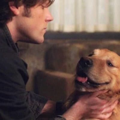 Sam Winchester thumbnail