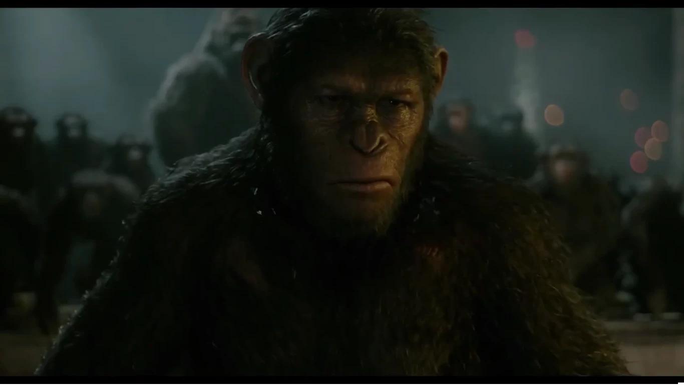 Caesar thumbnail