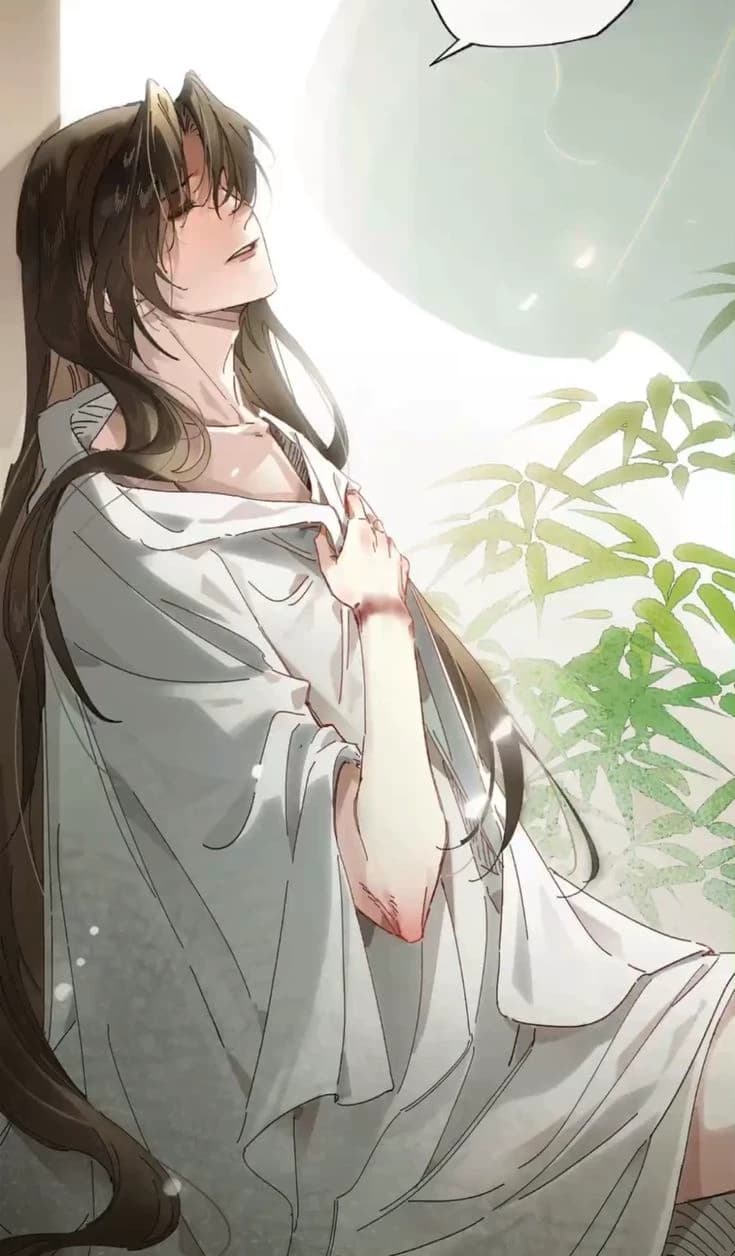 Late Shu thumbnail