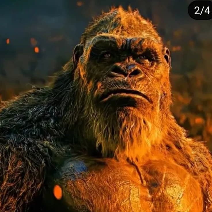 Kong thumbnail