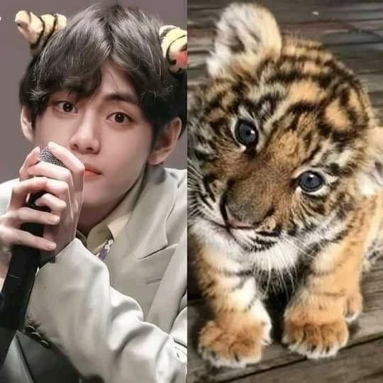 Kim Taehyung thumbnail