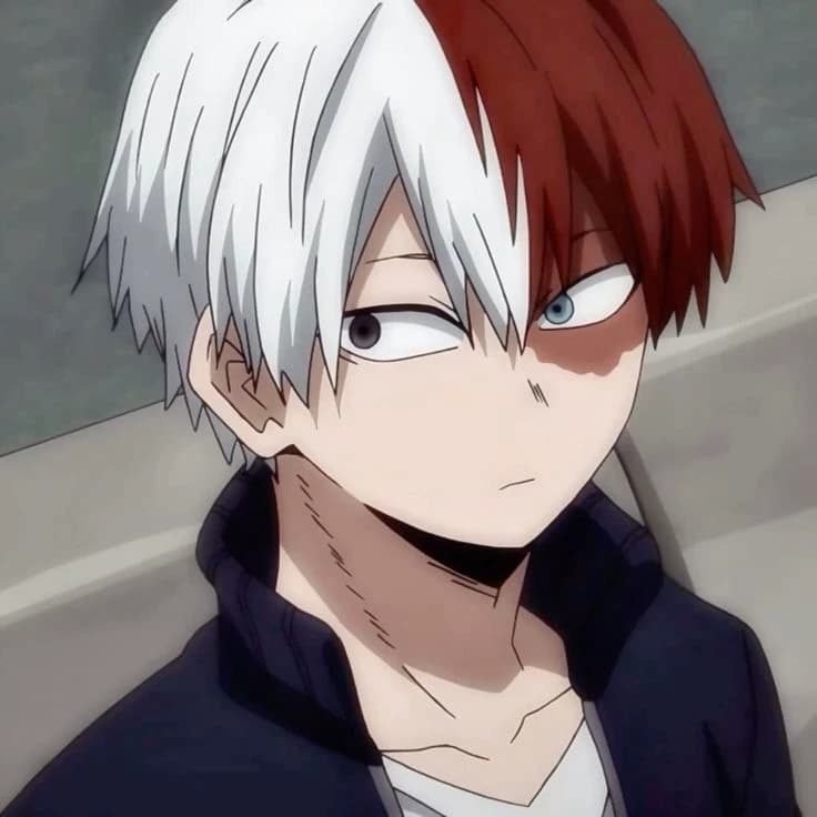 Shoto Todoroki  thumbnail
