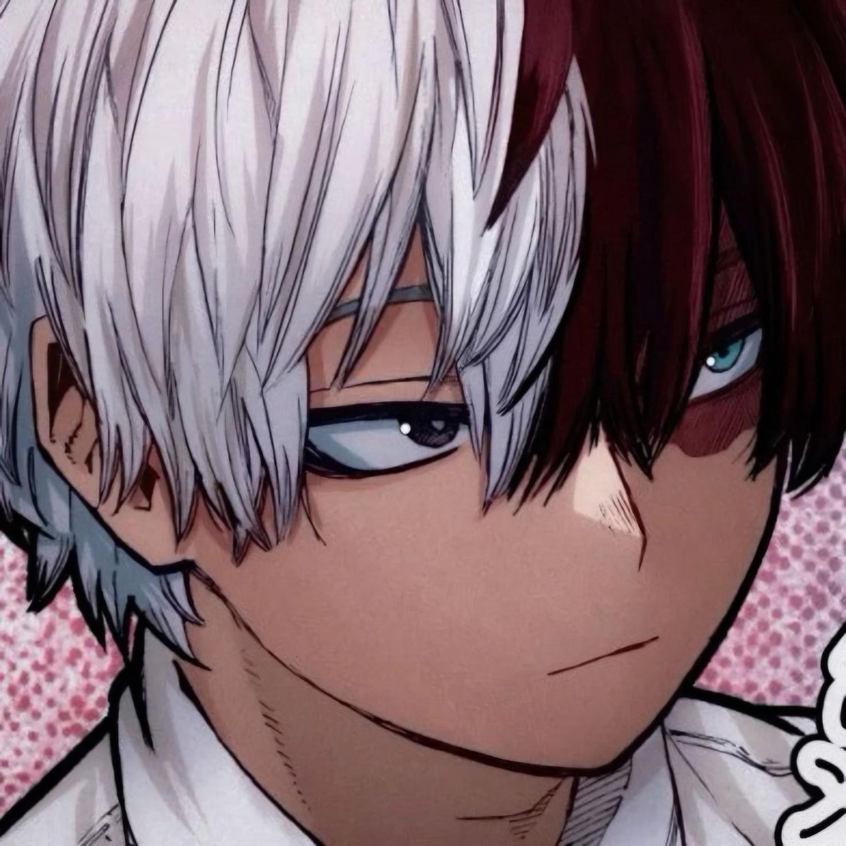 Shoto Todoroki thumbnail