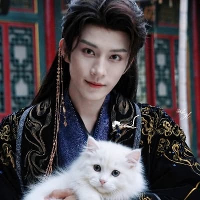 Xu Chen *White Cat* thumbnail