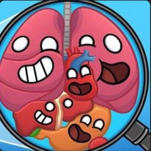 our body (YouTube channel) thumbnail