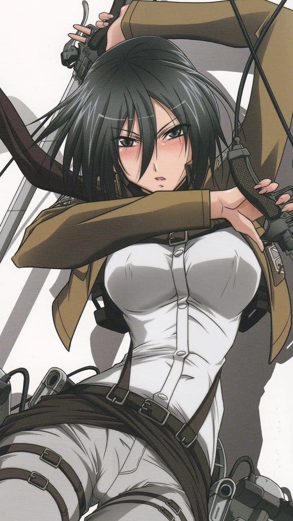 Mikasa thumbnail