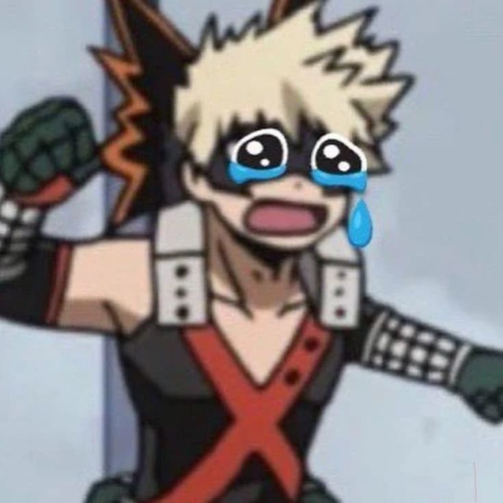 The Bakugo Family thumbnail