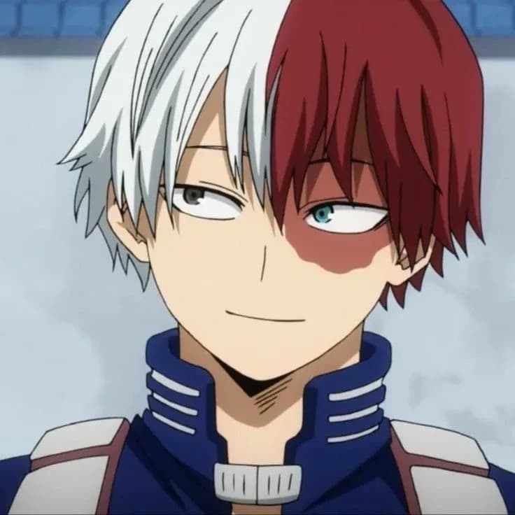 Todoroki shoto  thumbnail