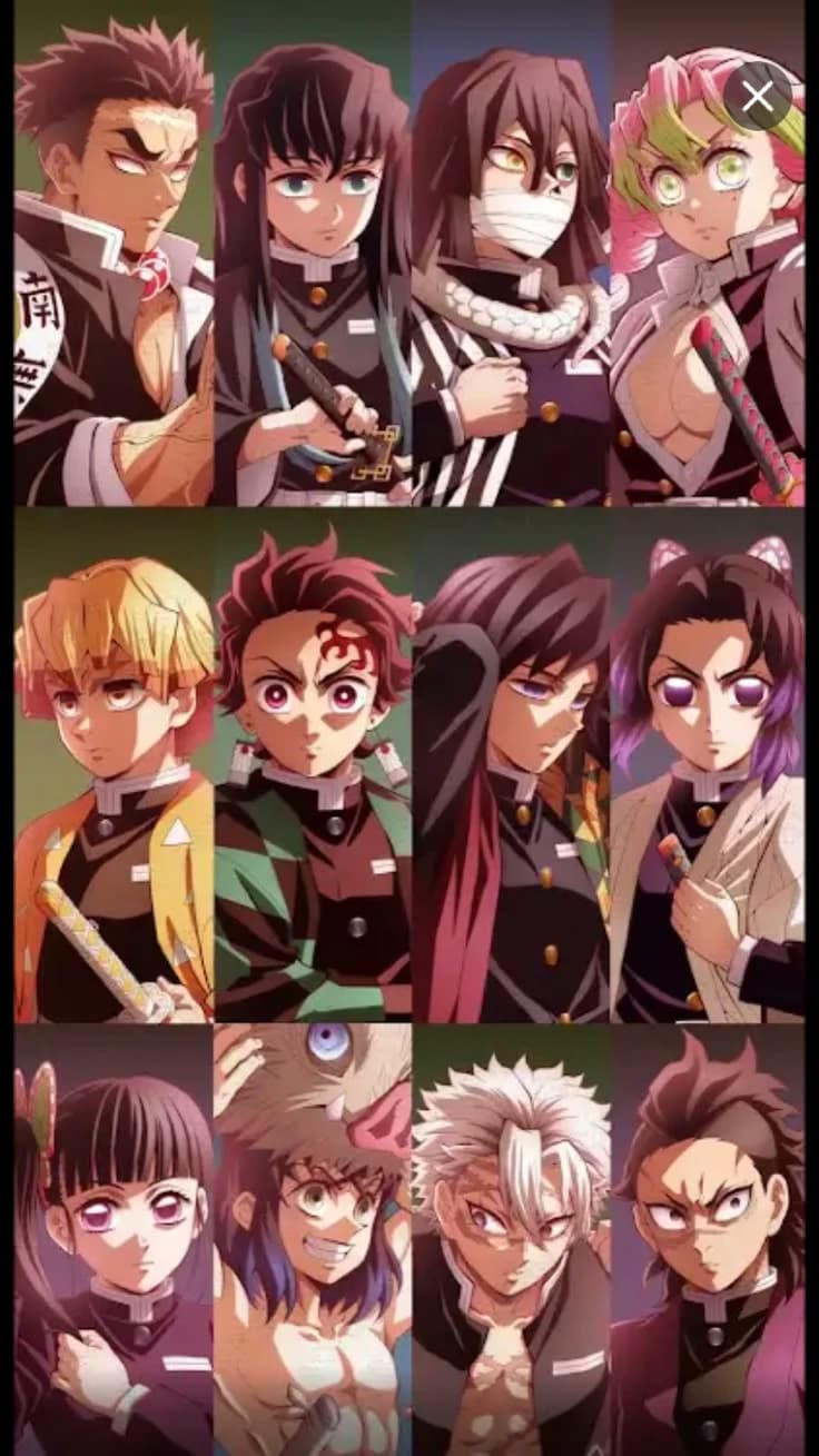 hashira and the lost brother of Mitsuri Kanroji thumbnail
