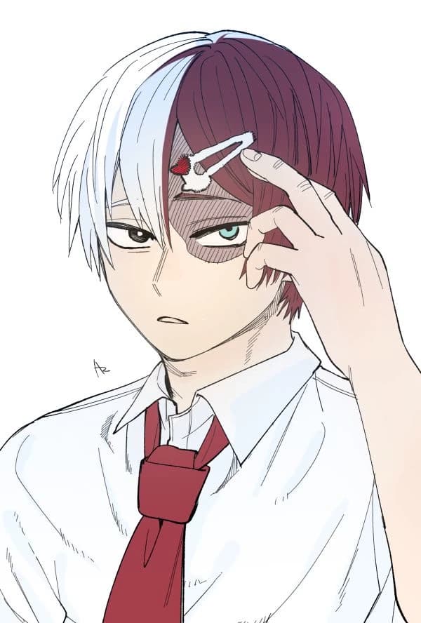 Shoto Todoroki thumbnail