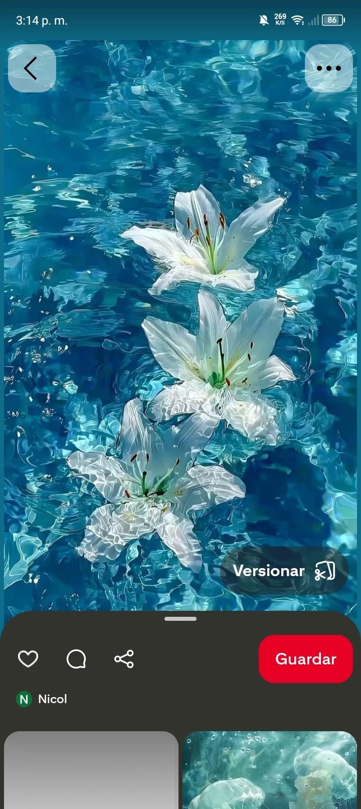🪷 _Among cherry blossoms_ 🪷 thumbnail