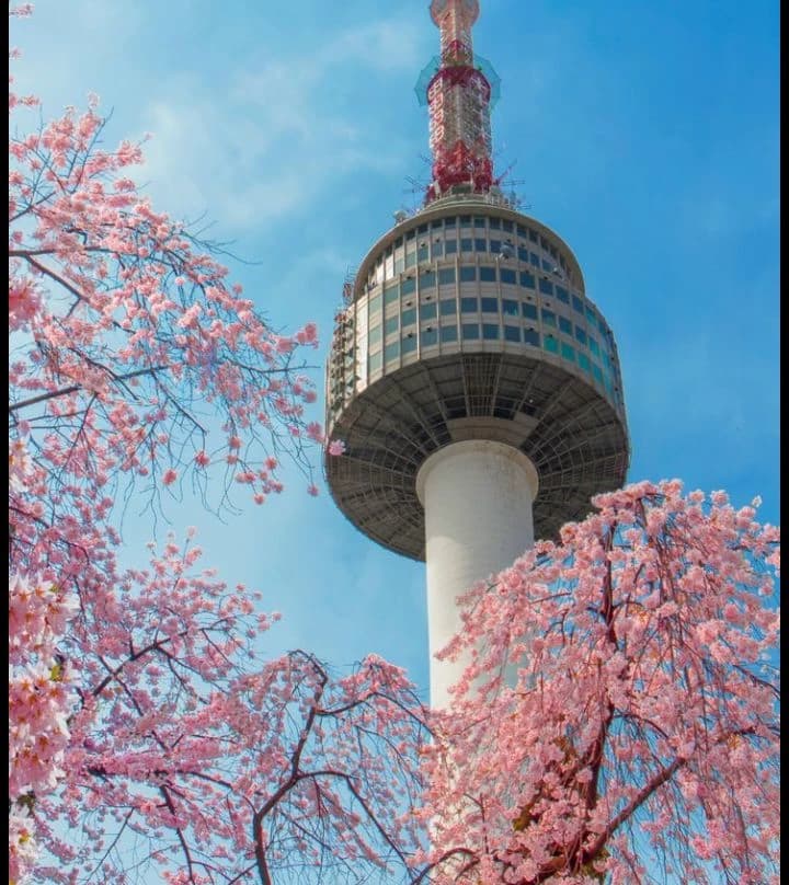 Life in korea thumbnail