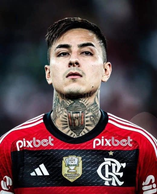 Erick Pulgar thumbnail
