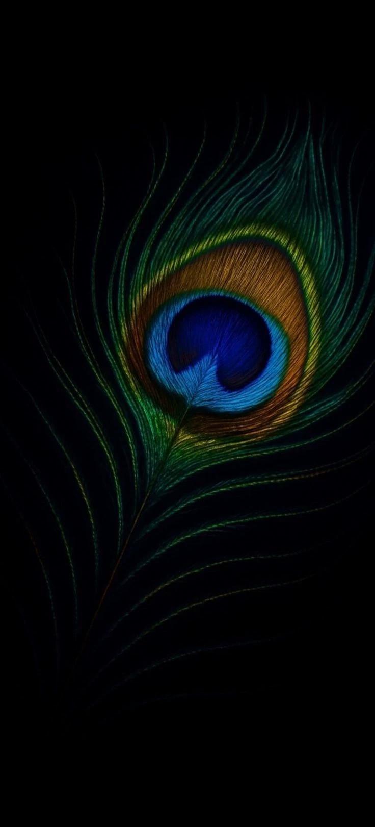 Mahabharath🦚 thumbnail