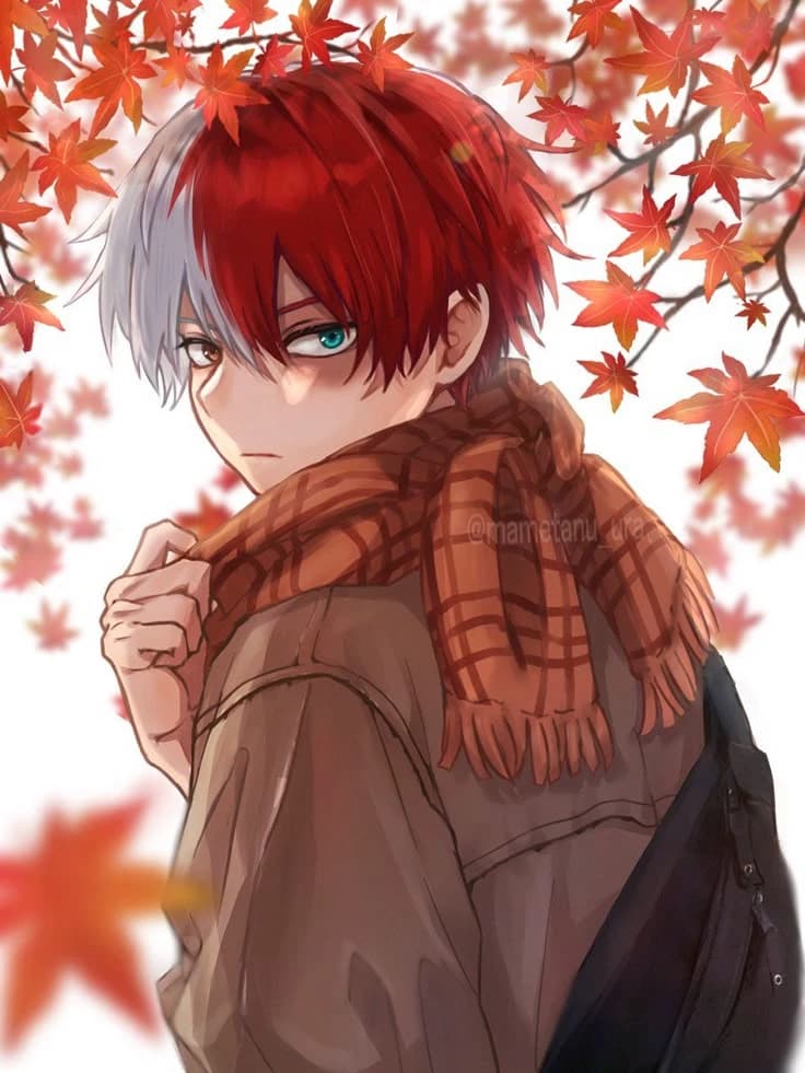 shoto todoroki thumbnail