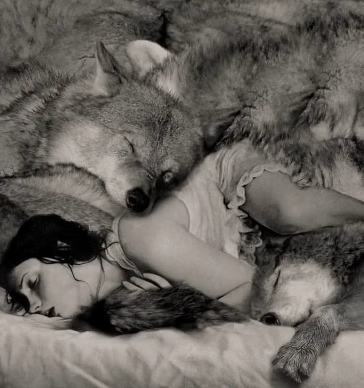 Wolves ｡⁠: ♥ :⁠ ｡ thumbnail