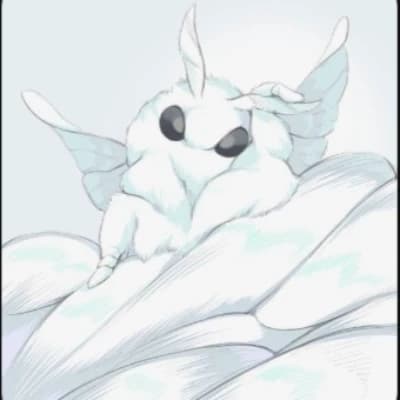 °•♡ Big cute fluffy moths  thumbnail