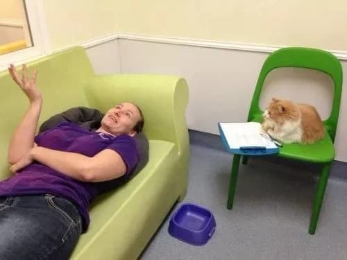 Psychologist thumbnail