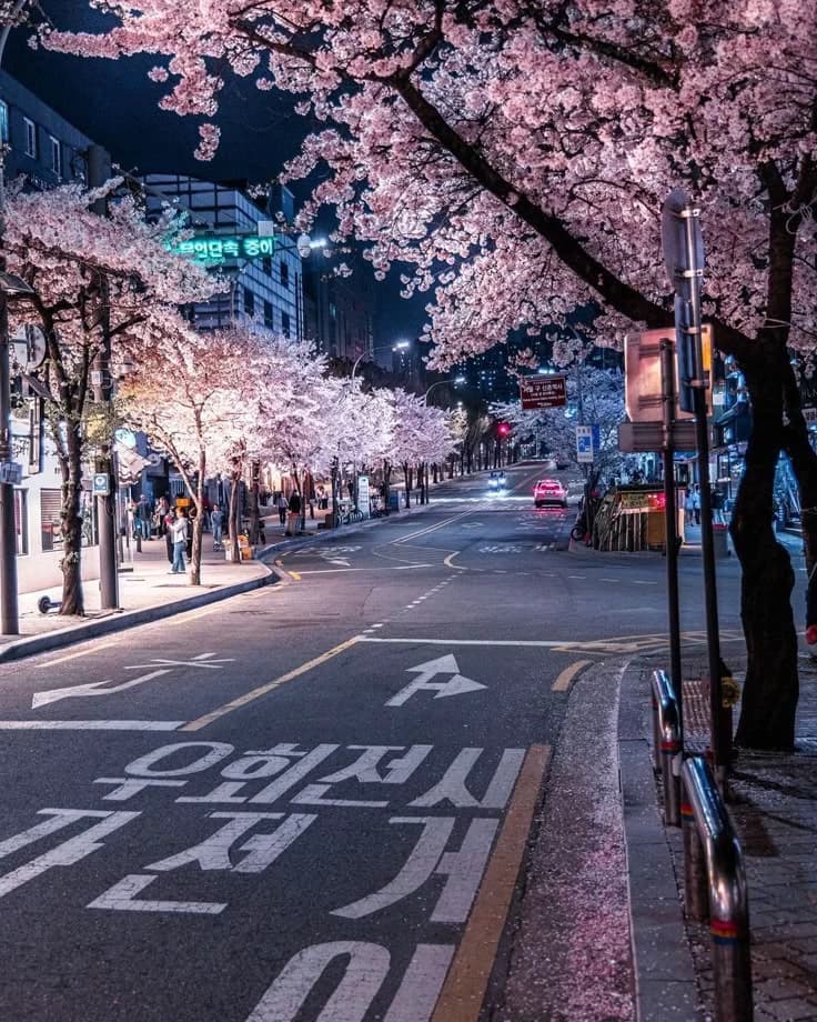 Roleplay in South Korea thumbnail