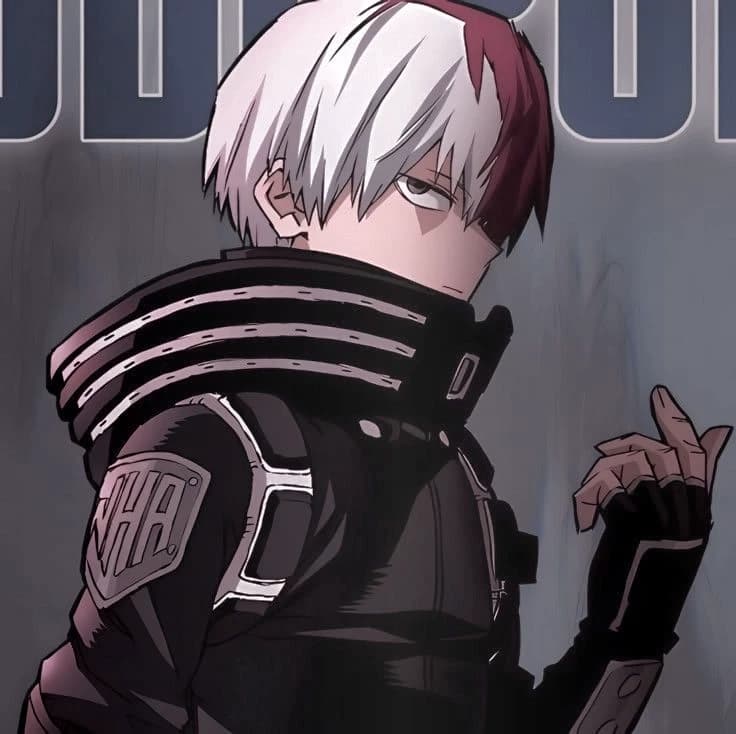 Shoto Todoroki thumbnail