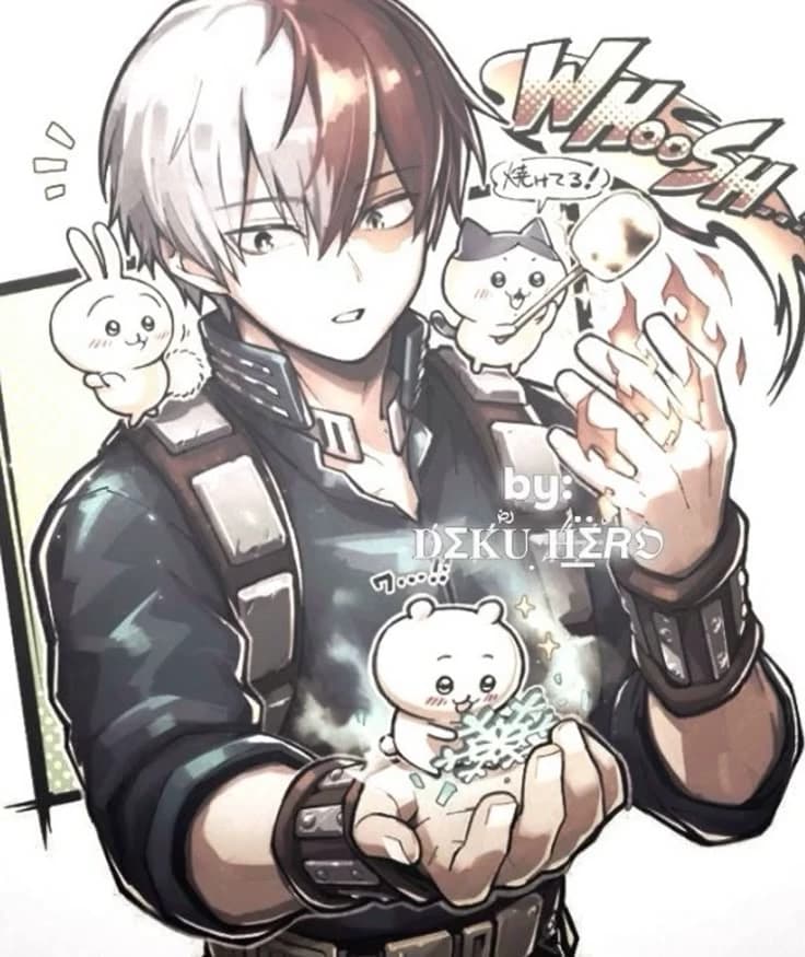 Shoto Todoroki🔥💧 thumbnail