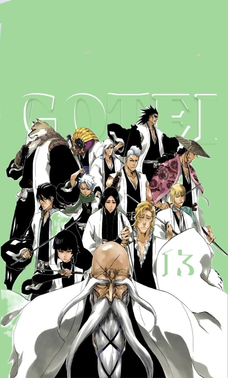 Gotei 13  thumbnail