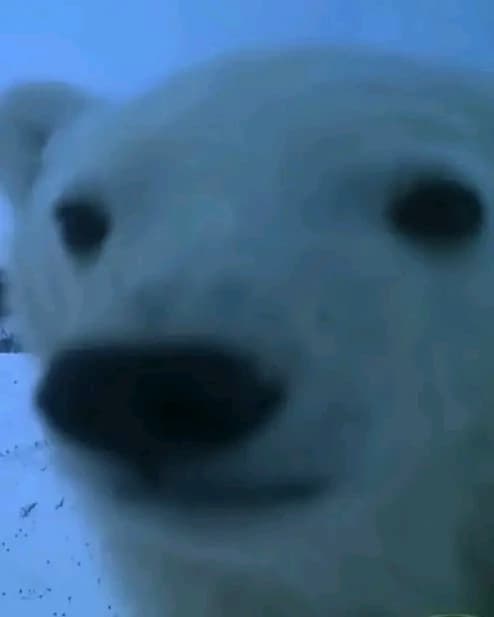 Mha Pick Me

🤨| [New Girl is rude to only you…] (from cai) thumbnail