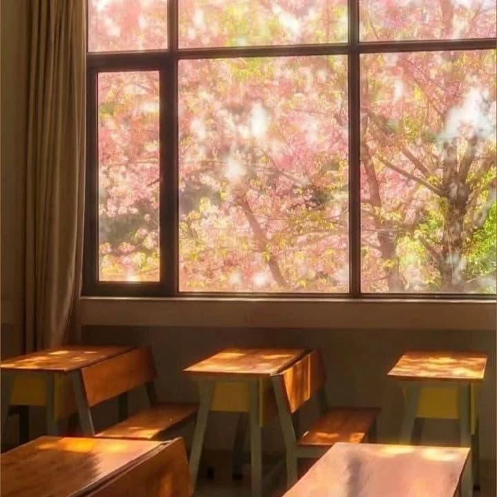 🌸🪷 Japanese school 🪷🌸 thumbnail