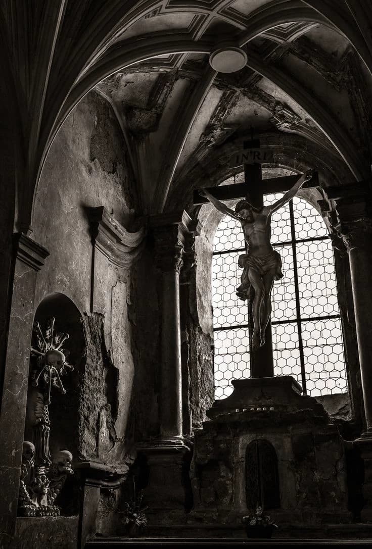 Catholic School  thumbnail