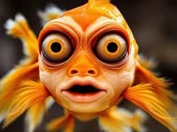 Pablo the repeating thumbnail