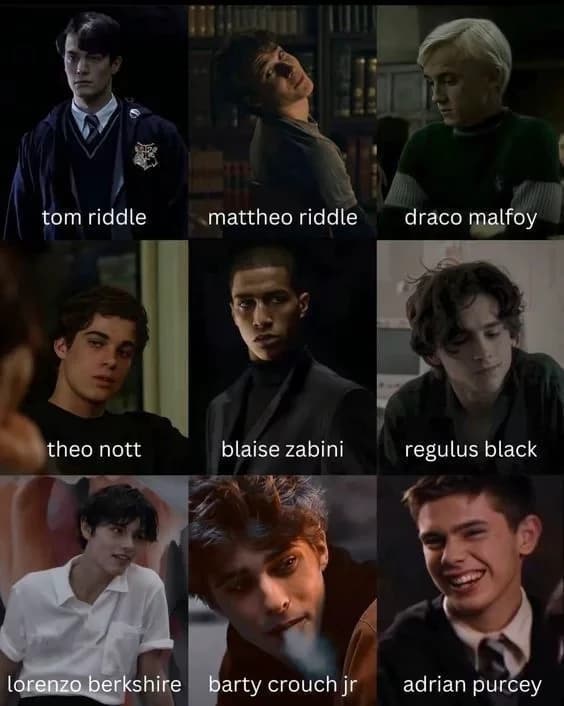 The Slytherins 💚💛 thumbnail